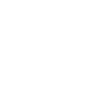Protección de activos